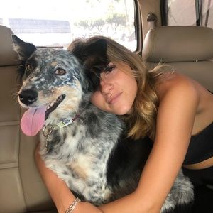 Meet your Posher, Reagan